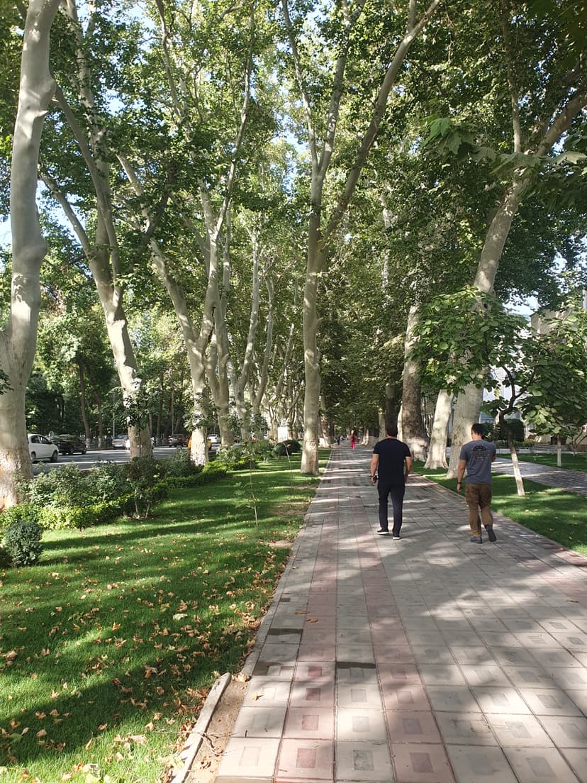 Tashkent city streets